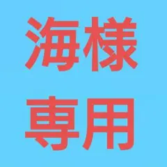 ★(海様専用！)おまとめ購入3点！