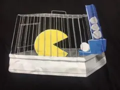 Item thumbnail for item 403c24a9-6168-4689-9219-21d1ee35a2ac