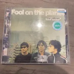 the pillows Fool on the planet