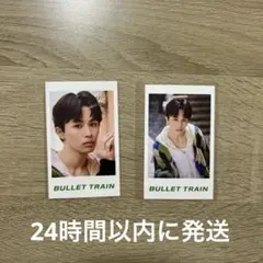 Item thumbnail for item 207b1740-b0fd-4c88-8231-feddf65556bb