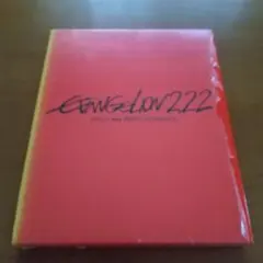 エヴァンゲリオン 2.22 YOU CAN (NOT) ADVANCEブルーレイ