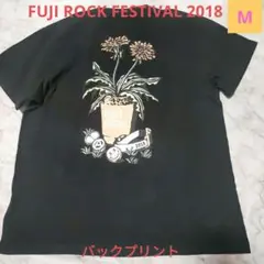 美品✨FUJI ROCK 2018✖ BEAMS verdy Tシャツ　M