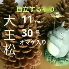 はな＊様 リクエスト 2点 まとめ商品