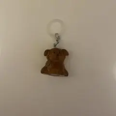 いぬたちゆらゆらマーカー こいぬ ガチャガチャ