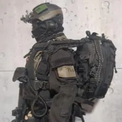 1/6 12インチ 映画 エイリアン2 海兵隊カスタムフィギュア CS169