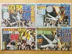 阪神　阪神タイガース　優勝　2025.9.8スポーツ紙4部【新品未読品】