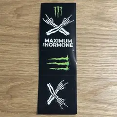⭐️早い者勝ち！⭐️新品！マキシマムザホルモン モンスターエナジー 手袋 非売品 マキシマム ザ ホルモン × モンスターエナジー 手袋&クージー