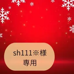 sh111※様専用ページです