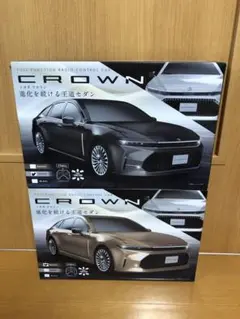 CROWNラジコン 2台