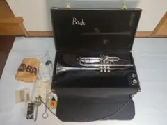 バックトランペット「TR300SP 」。使用感少ない美品。純正ケース付属 TR300 SP | 【クロサワ楽器店オンラインショップ】いい楽器との