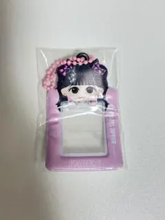 FRUITS ZIPPER 松本かれん ミニフォトカードケース
