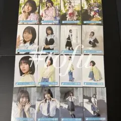 日向坂46 大野愛実 16種コンプ Kind of love 円周率 - メルカリ