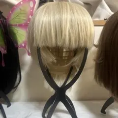 アルミン・アルレルト ウィッグ