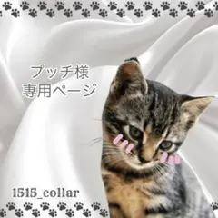 プッチ様専用ページ