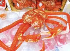 蟹 超リアル BIGぬいぐるみ