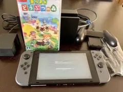 Nintendo Switch あつまれどうぶつの森 セット