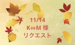 11/14 K⇔M 様