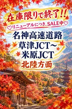 専用出品