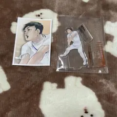 ハイキュー!! クロニクル アクフィ 思い出スナップフォトカード 縁下力