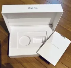 空箱のみ　iPad Pro 11インチ 256GB スペースグレー