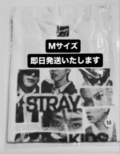 Stray Kids フォトTシャツ ホワイト Mサイズ - メルカリ
