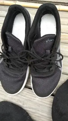 Item thumbnail for item cb2d66f9-e717-4785-8e1d-774541573577