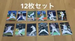 カルビー　プロ野球チップスカード　まとめ売り
