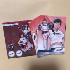 bbm 2025 passion チアリーダー　コンプ　東京ヤクルトスワローズ