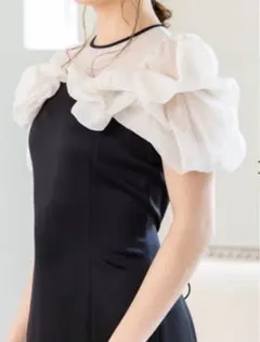 FRAY I.D ラッフルデザインシアーコンビスリムドレス