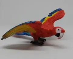 シュライヒ　コンゴウインコ