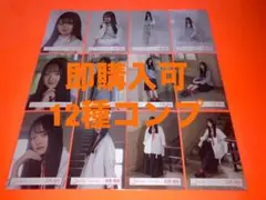 目黒陽色　櫻坂46 ランダム生写真　12種コンプ