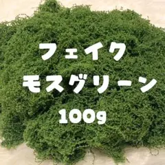 フェイクモスグリーン 100g 苔 ジオラマ 模型 テラリウム フェイクグリーンのサムネイル