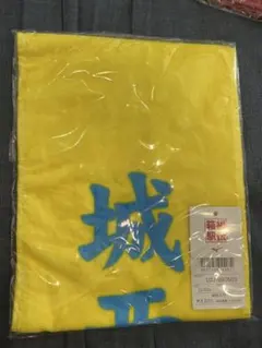 箱根駅伝　2025 101回大会　マフラータオル　ミズノ　未開封　城西大学