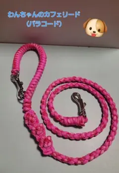 わんちゃんのカフェリード（パラコード）66