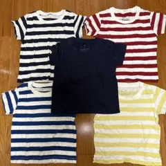 ストライプ半袖Tシャツ（コットン）