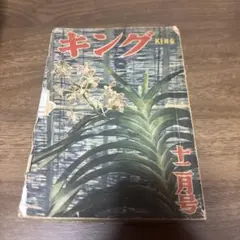 Item thumbnail for item 0bdc1938-898e-4237-aa08-91bc6fd13051