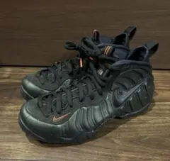 NIKE ナイキ AIR FOAMPOSITE エアフォームポジット