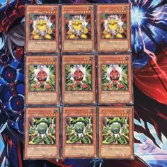遊戯王　イエロー　グリーン　レッドガジェット　SD18 ノーマル各3枚