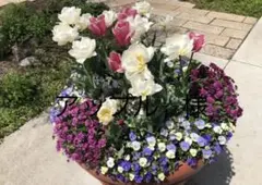 アップル★様 リクエスト 2点 まとめ商品