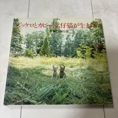 Item thumbnail for item 31996ed5-58cc-4e17-aae4-09c4344c1904