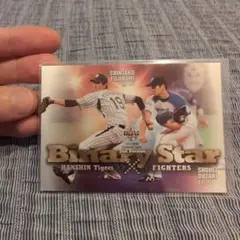 藤浪晋太郎・大谷翔平 BBM 2014 Binary Star