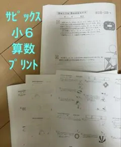 サピックス 小６ 算数 デイリーサポート 61A -01-b～19-b 全19回