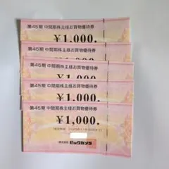 ビックカメラ 優待券 5000円分