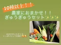 【80サイズ】✨農家におまかせ✨ぎゅうぎゅうセット！！