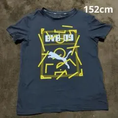 ドルトムント　Tシャツ　キッズのサムネイル