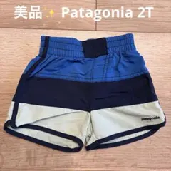 美品✨️パタゴニア✨️Patagonia 水陸両用 水着 2T 80-90
