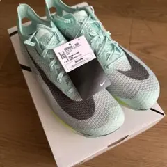 Item thumbnail for item e7393de1-e066-4b2d-853c-16ca1321a45a