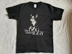 2026年最新】ジョジョ展 イギー tシャツの人気アイテム - メルカリ