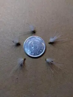 Item thumbnail for item d7487a6b-0379-4bf5-a514-43f3d5e18a03