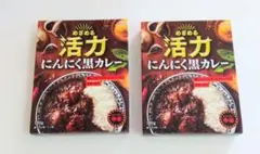 신품・ 미개봉 活力にんにく黒カレー 2点